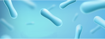 How to Choose the Right Probiotic