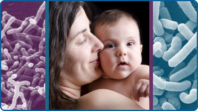Probiotics in Pediatric Nutrition