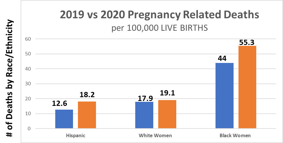 Bar chart comparing 2019 and 2020 pregnancy related deaths by ethnicity