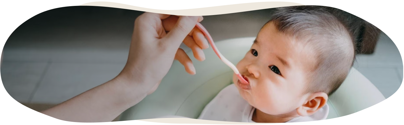 spoon-fed baby eating