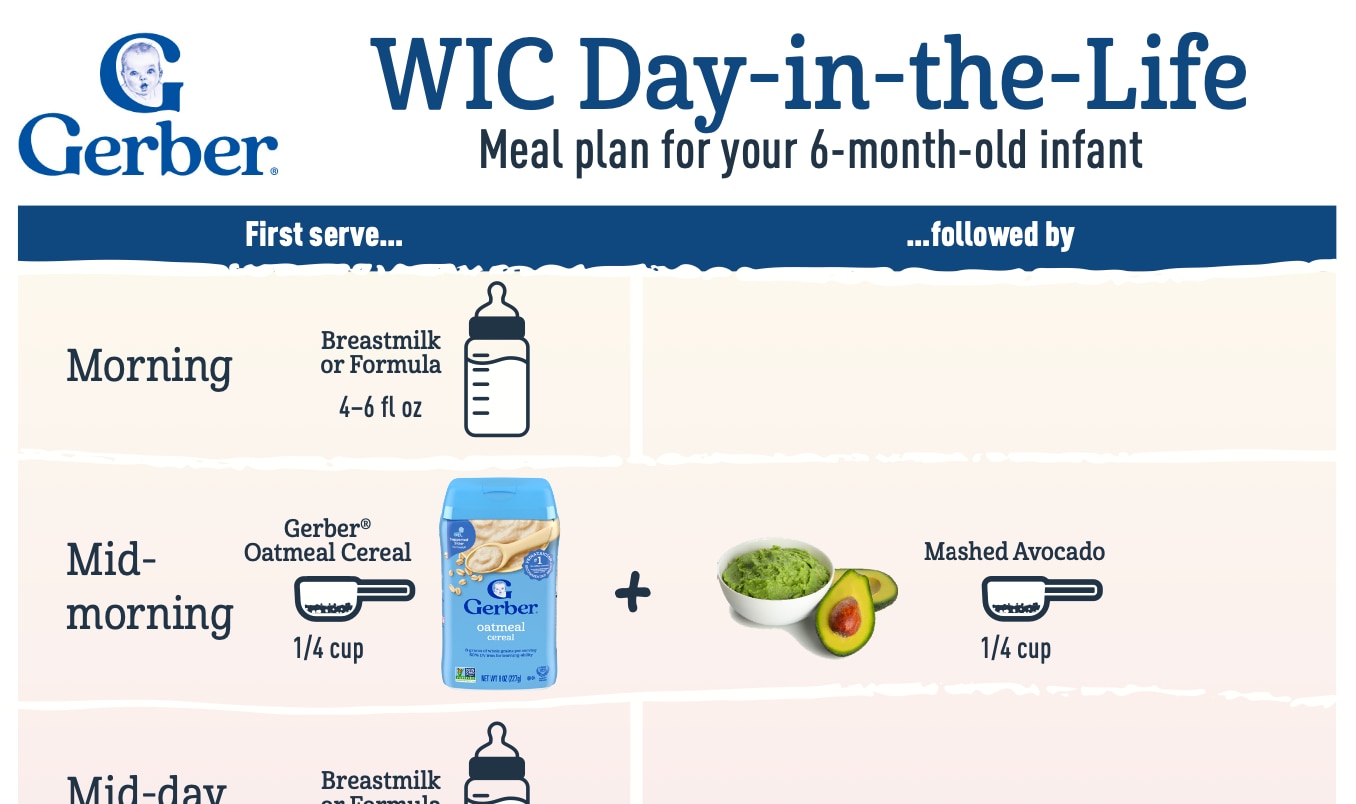 Day-in-the-Life Menu Plan: 6 Months