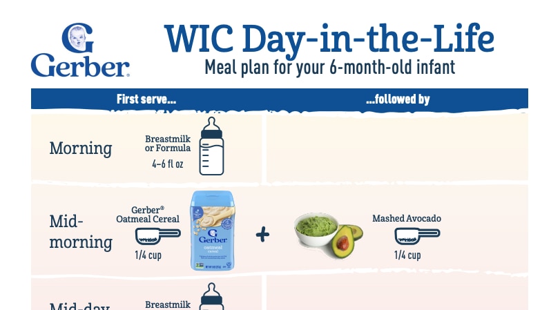 Day-in-the-Life Menu Plan: 6 Months