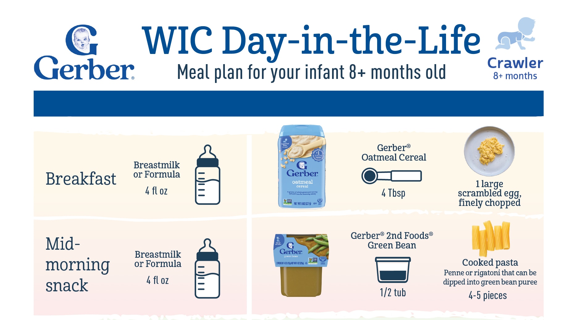 Day-in-the-Life Menu Plan: 8 Months