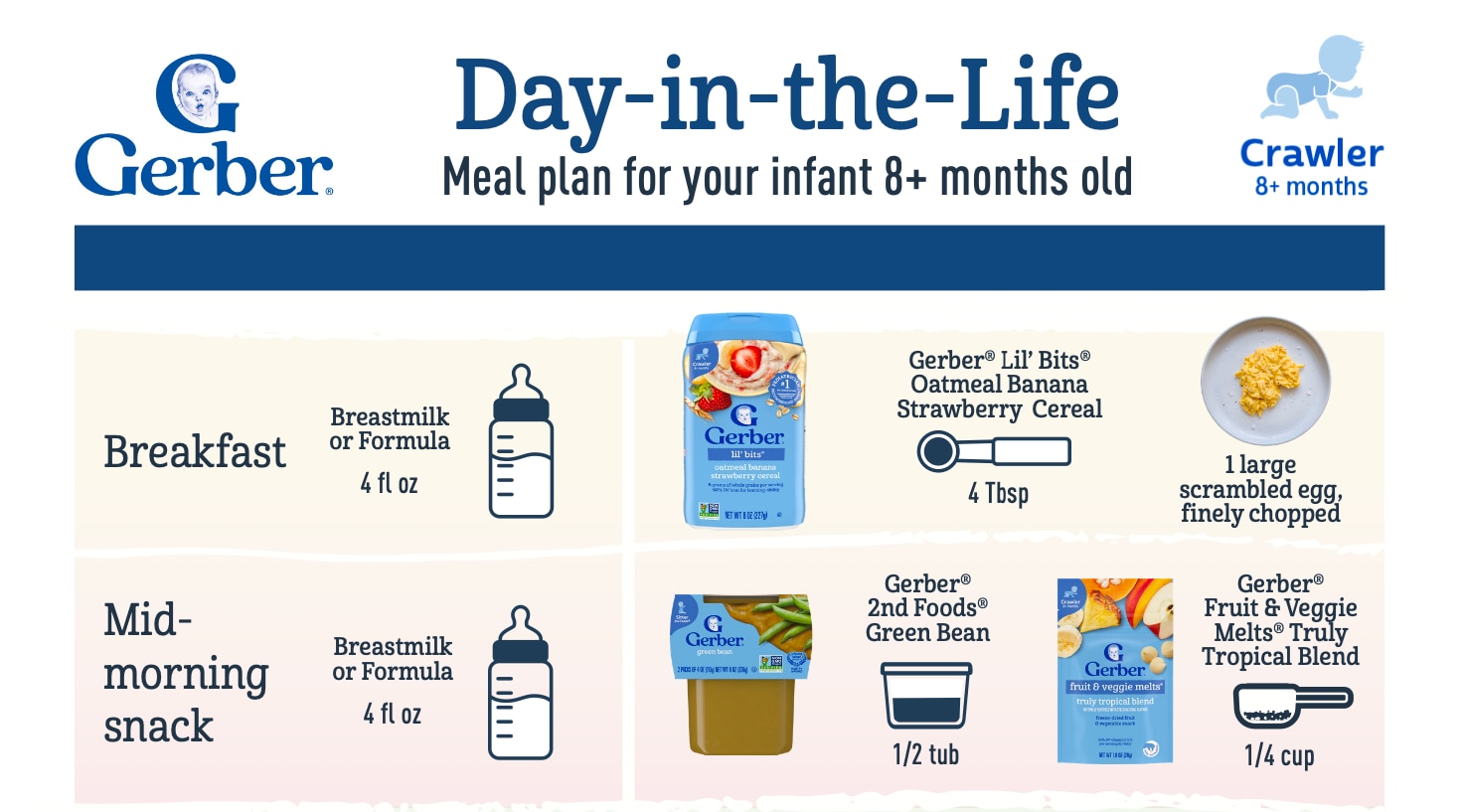 menu plan 8 month infants