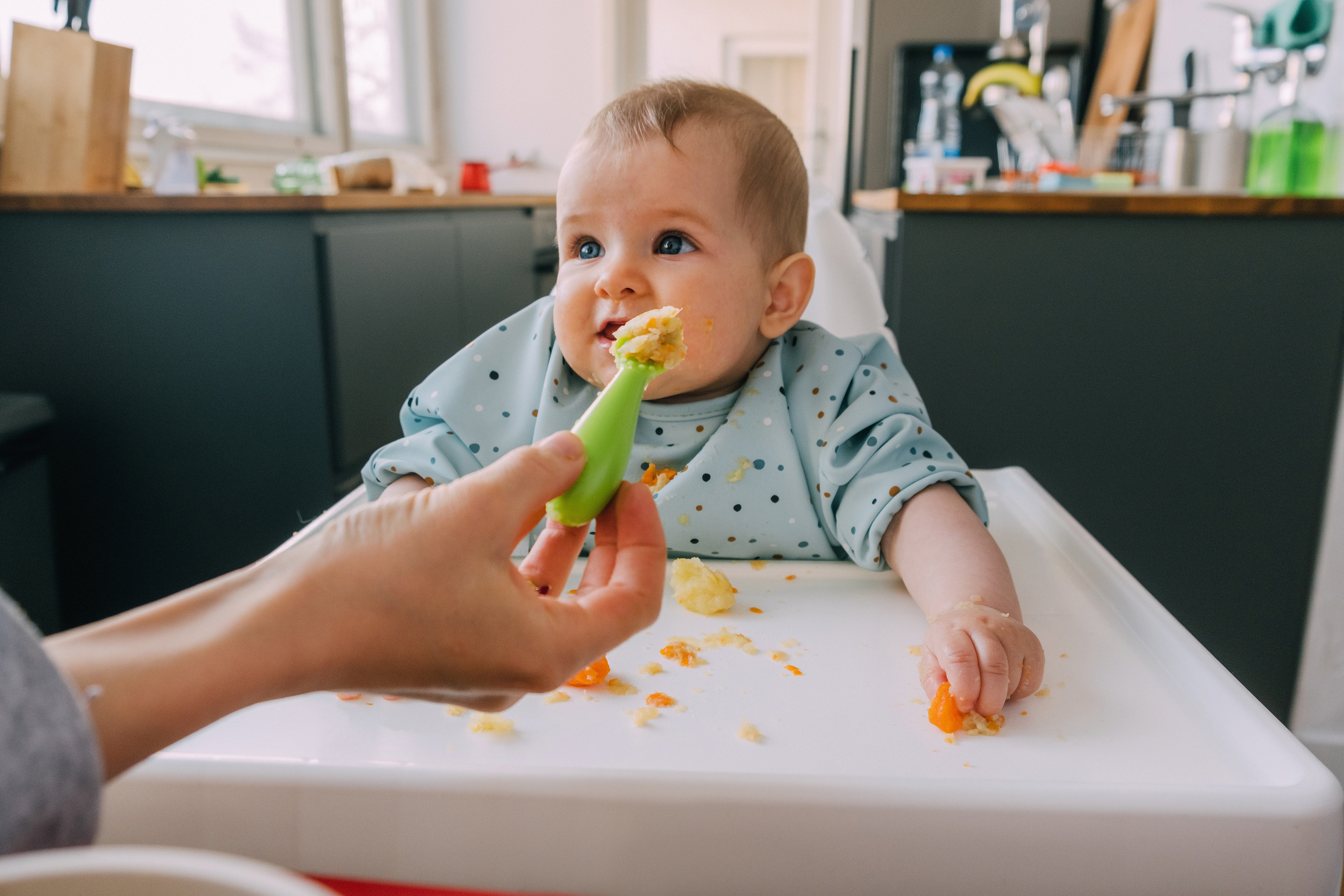 Marsha Dunn Klein portrait
