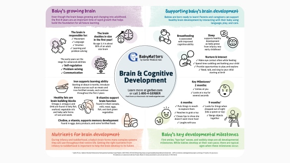 Brain and Cognitive Development Infographic