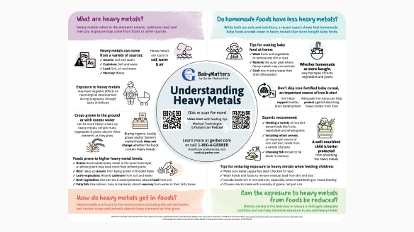 Understanding Heavy Metals Infographic