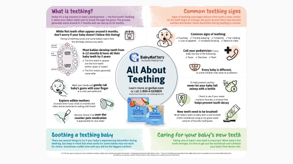 All About Teething Infographic