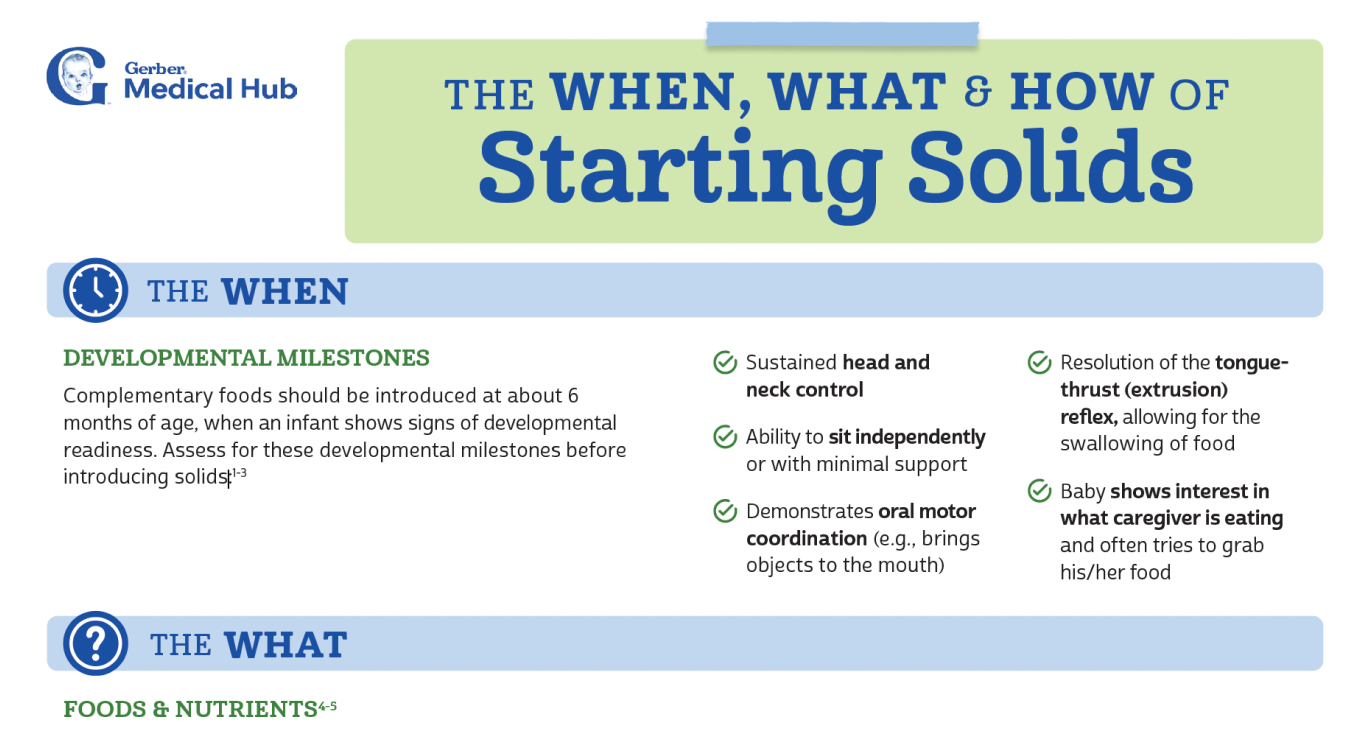 The What, When and How Infographic