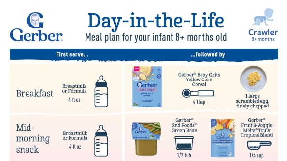 menu plan 8 month infants