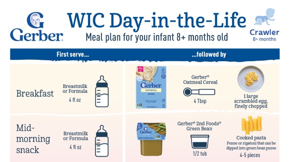 Day-in-the-Life Menu Plan: 8 Months
