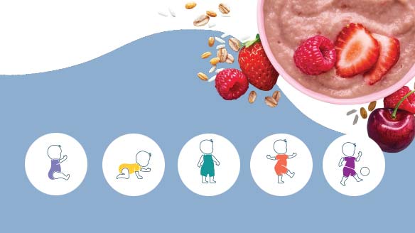 Gerber milestones from sitter to preschooler