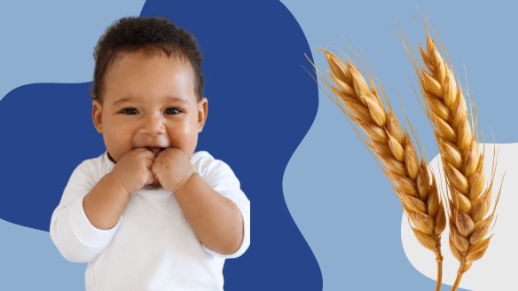 Supporting the Teething Journey with Edible Teethers