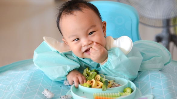 Complementary Feeding FAQs