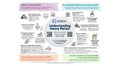 understanding heavy metals infographic